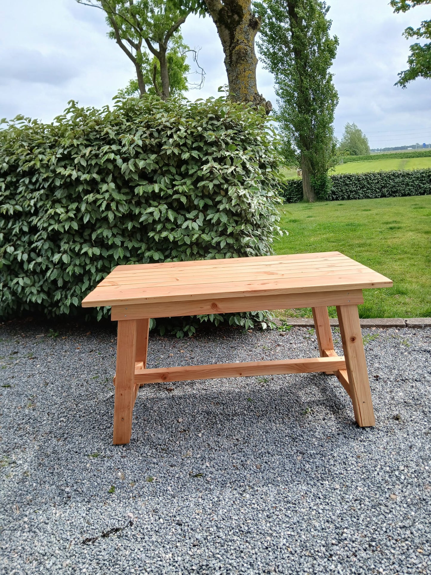HAARLEMBANKEN TUINTAFEL DOUGLASHOUT