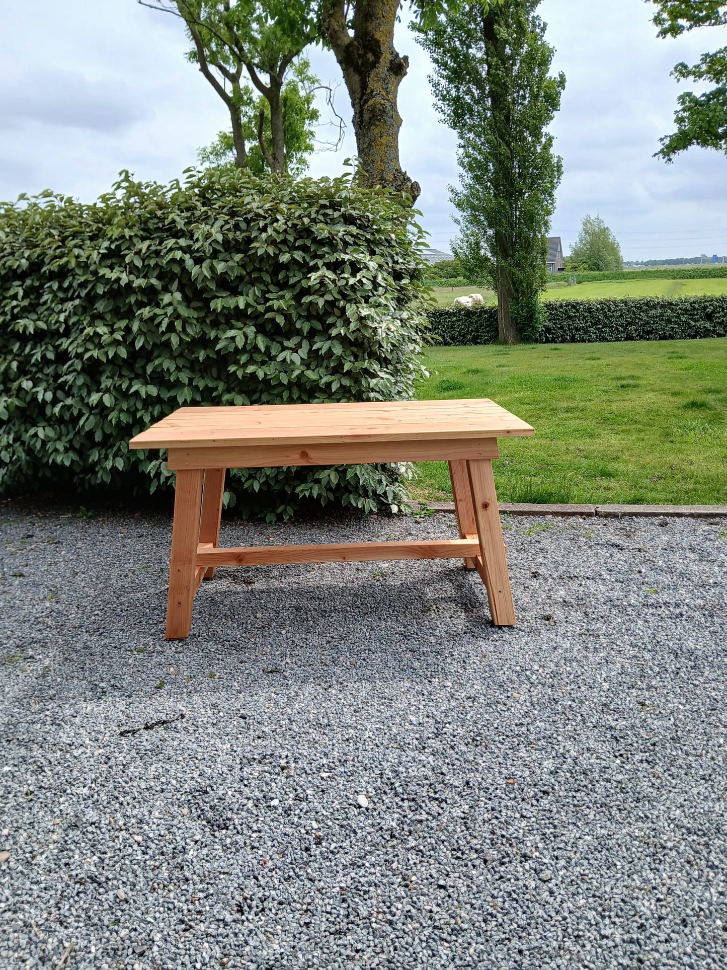 HAARLEMBANKEN TUINTAFEL DOUGLASHOUT